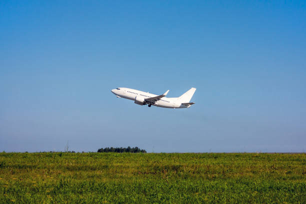 istock Green field, blue sky and white passenger plane takes off 828441420