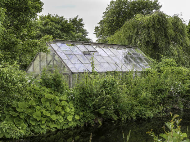 istock Green house behind green plants 828444824