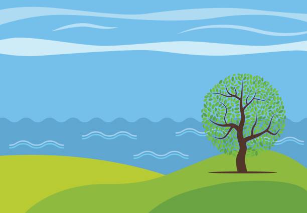 ilustraciones, imágenes clip art, dibujos animados e iconos de stock de paisaje, panorámicas de dibujos animados vector con el árbol solitario - arrepollado de las hojas