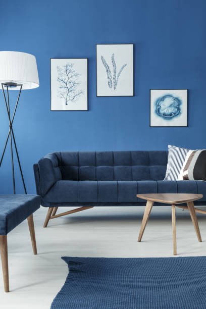 istock Sofa in living room 828457562