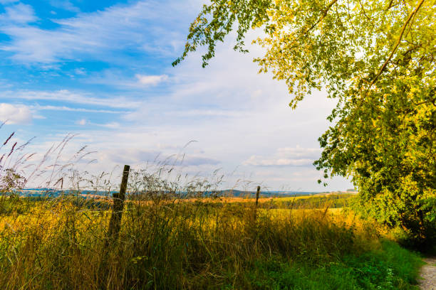 Beautiful scenery, summer sunny meadow. Blue sky with clouds and sun. Green field, meadow with trees around. Fence in foreground, land in background.