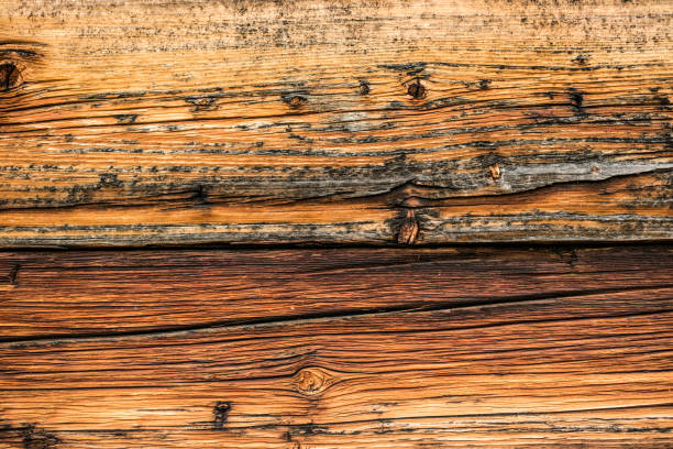 Aged spruce pine wood plank wall detail with rough surface, cracks and knots.