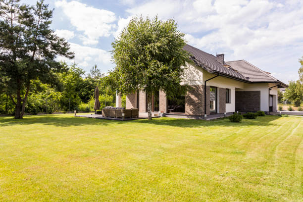 istock Big detached house with green garden 828467922