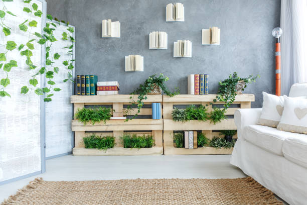 istock Room full of plants 828469136