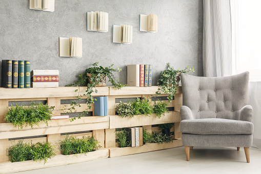 Books and green plants on wooden shelf in cozy lounge