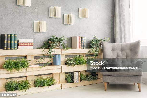 Books And Plants On Shelf Stock Photo - Download Image Now - Pallet - Industrial Equipment, Library, Domestic Life