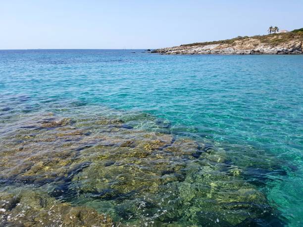 istock carloforte island sardinia seascape 828470332