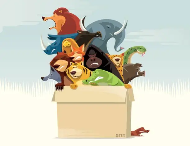 Vector illustration of carton of angry wild animals