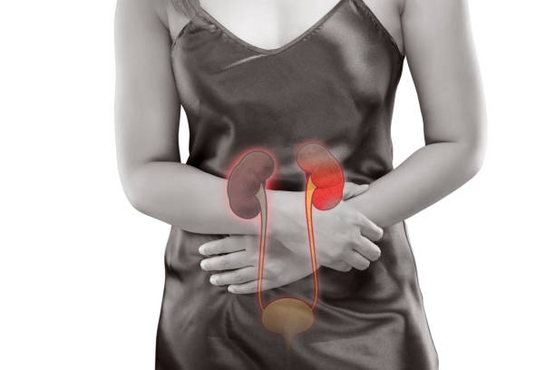 Woman Kidney disease. Renal failure isolated on white background Woman Kidney disease. Renal failure isolated on white background polycystic ovary syndrome photos stock pictures, royalty-free photos & images