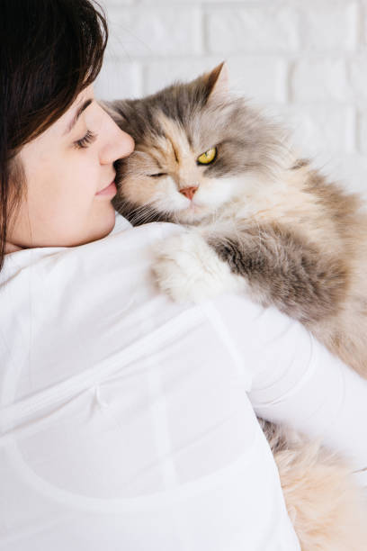 istock Young woman holds her fluffy cat in hands 828484538