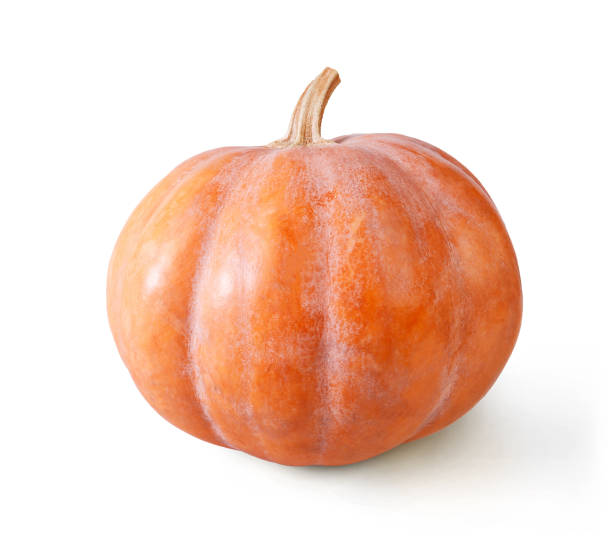 istock Fresh orange pumpkin isolated on white background 828488812