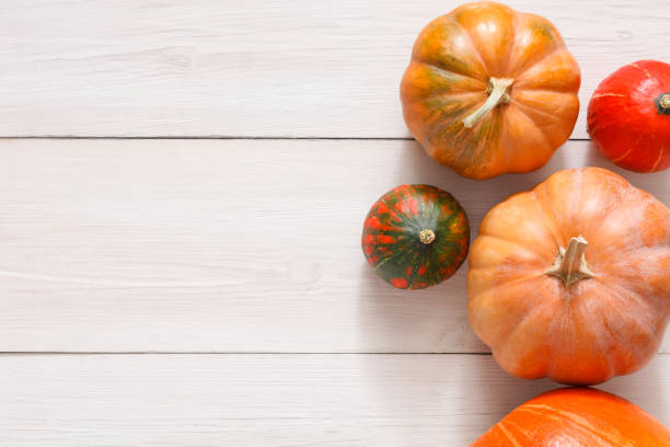 istock Autumn harvest pumpkins background with copy space 828489932