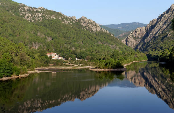 forest and dam in Corsica mountains