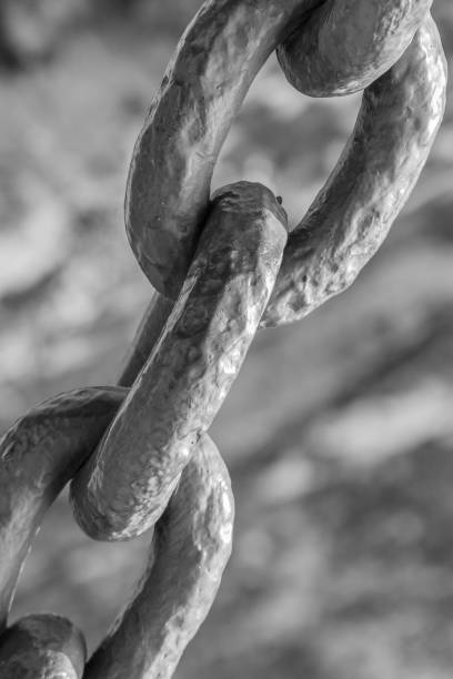 istock Old metal chain on a old wall background. Close up. Black and white 828493926