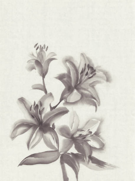istock lily flowers hand drawn with ink on vintage rice paper background 828494046
