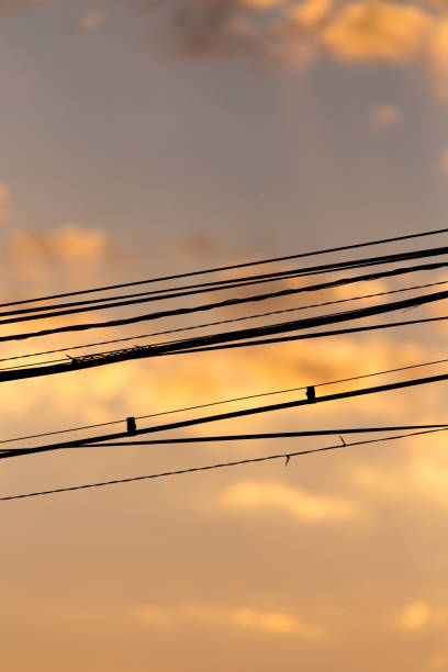 istock Electric wires at sunset as an background 828502094