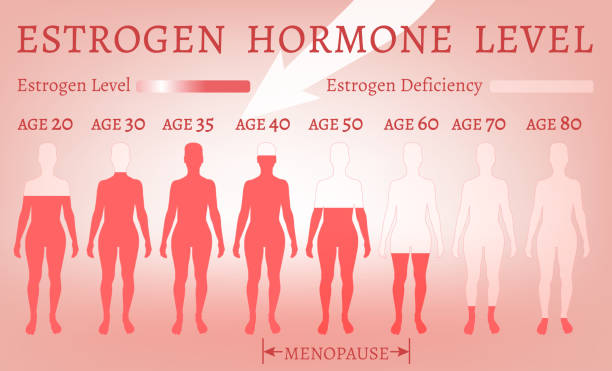 Estrogen Hormone Level Estrogen Hormone Level. Beautiful medical vector illustration in pink colours. Scientific, educational and popular-scientific concept. oestrogen stock illustrations