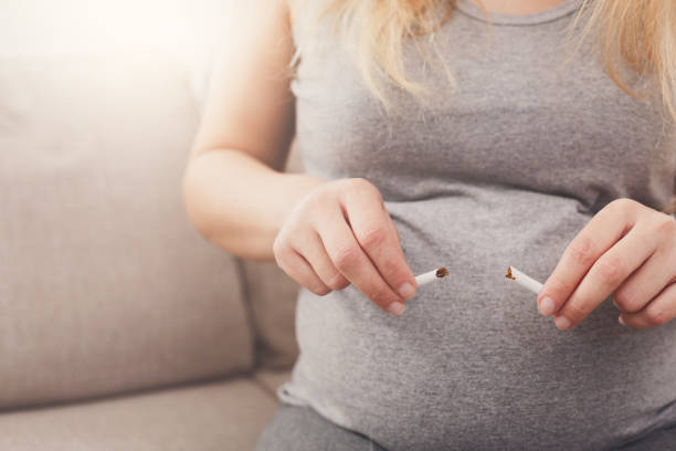 妊婦の腹近く壊れたたばこを保持 - smoking issues cigarette breaking broken ストックフォトと画像