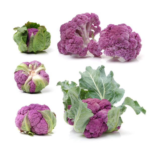 istock Isolated fresh lila cauliflower on the white background 828523006