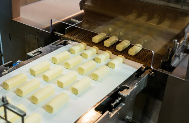 istock Glazed syrki with chocolate on the conveyor 828529614