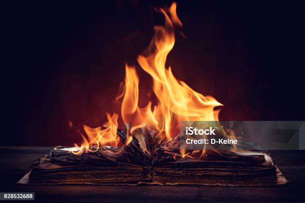Book Stock Photo - Download Image Now - Book, Burning, Fire - Natural Phenomenon