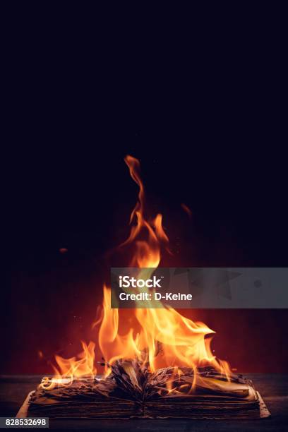 Book Stock Photo - Download Image Now - Book, Burning, Fire - Natural Phenomenon