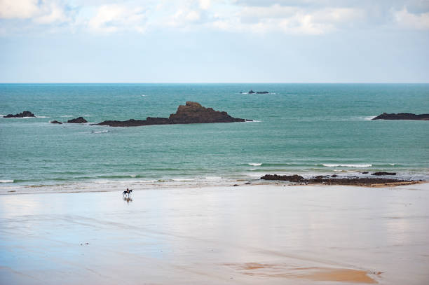 istock A man and a horse on an empty beach 828536552