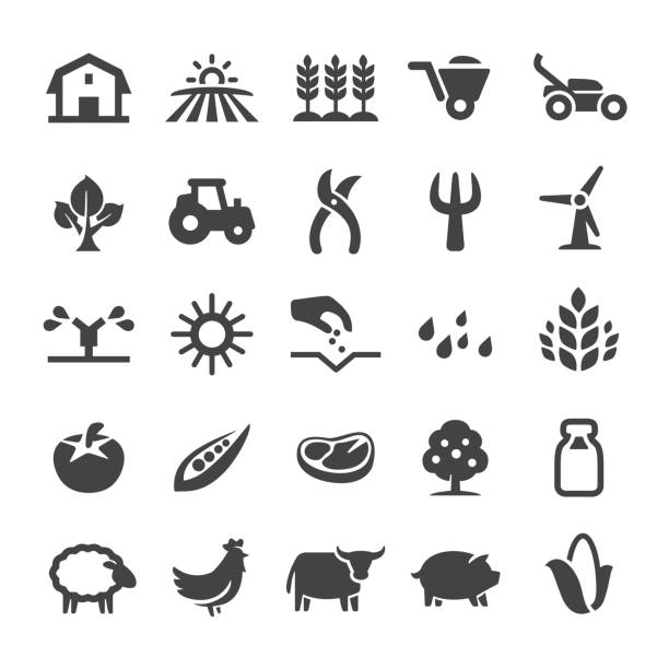 농업 아이콘-스마트 시리즈 - soya meat stock illustrations