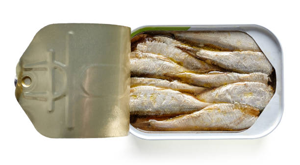istock Open can of sardines isolated on white, from above 828562050