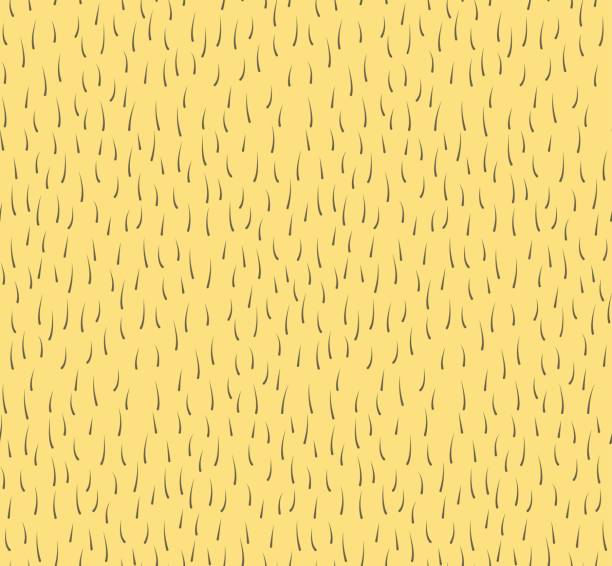 Abstract hairy seamless pattern, haired animals or human skin Abstract hairy seamless pattern, haired animals or human skin. Hair texture for banner, cover, wrapping paper, background, web design fur stock illustrations