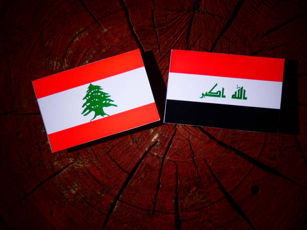 分離された木の切り株にイラクの旗のレバノンの旗 - lebanese flag ストックフォトと画像