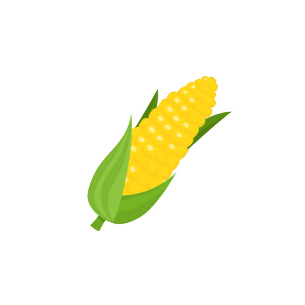 ilustraciones, imágenes clip art, dibujos animados e iconos de stock de mazorca de maíz de estilo cómico, oído con hojas - corn corn crop corn on the cob food