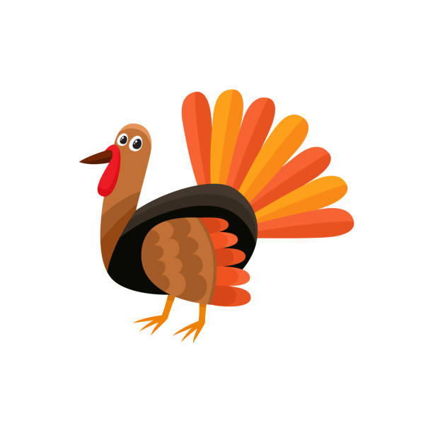 Cute and funny farm hen turkey character Cute and funny farm hen turkey character, cartoon vector illustration isolated on white background. Cartoon style turkey character, Thanksgiving Day symbol feather photos stock illustrations
