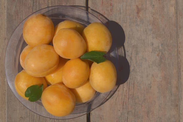 istock Ripe orange apricots in the plastic plate top view 828610960