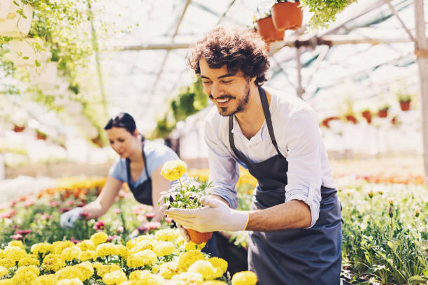 istock Gardeners working in the garden center 828612218