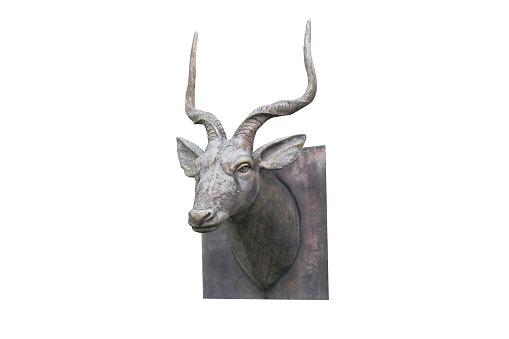 Deer head  statue isolated on white background with clipping path included - Statue for decoration