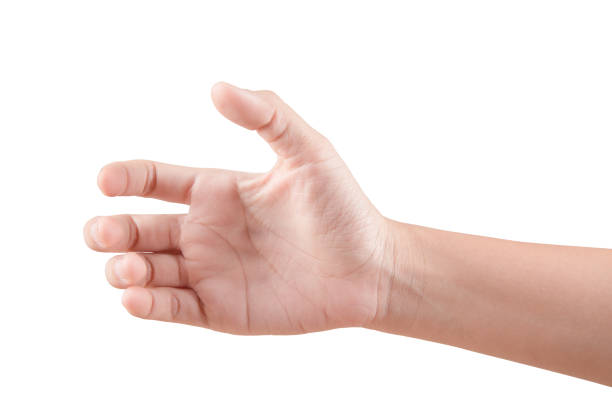 istock Woman beautiful hand holding something isolated on white background 828619022