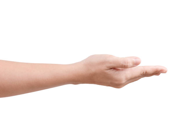 istock Woman beautiful hand holding something like a open and ready help or receive isolated on white 828619148