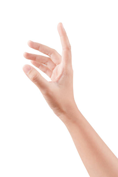 istock Woman beautiful hand handle of posture isolated on a white background 828620934