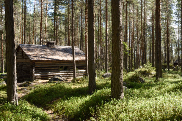 istock Old timbered house in the forest 828635522