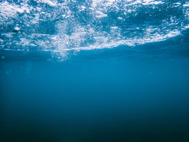 istock Underwater turquoise texture in ocean. Bubbles in tropical sea. 828642330