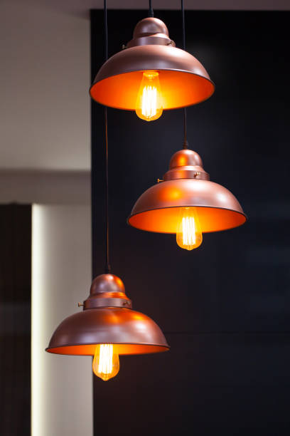 istock Incandescent lamps with tree in background. Edison lamp. 828663402