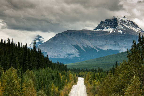 istock Mountain Road in Banff, Alberta, Canada 828676936