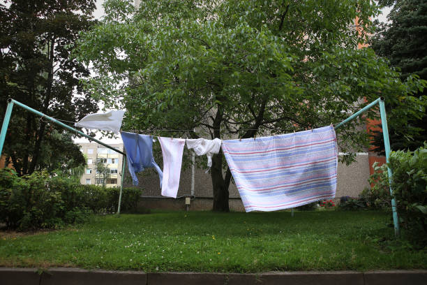 istock Clean washing hanging on clothesline hung in yard. 828682912