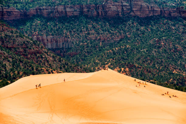 View of Coral dunes park