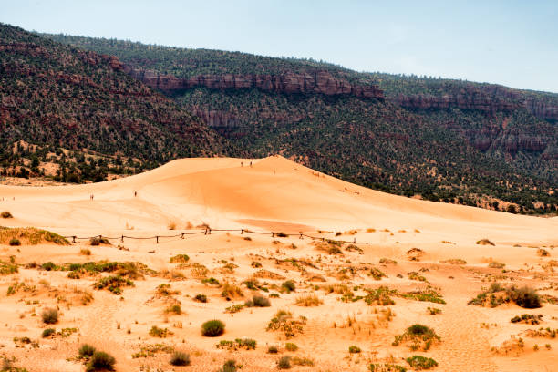 View of Coral dunes park