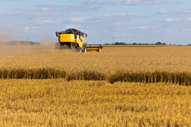 istock Yellow combine harvester on a wheat field with blue sky 828708778