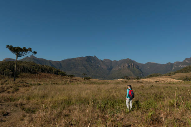 istock Woman and nature 828727548
