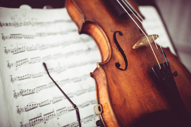 istock Violin Family with Bow 828731718