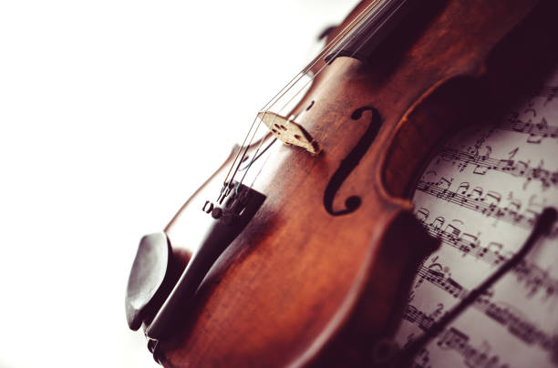 istock Violin Family with Bow 828733886
